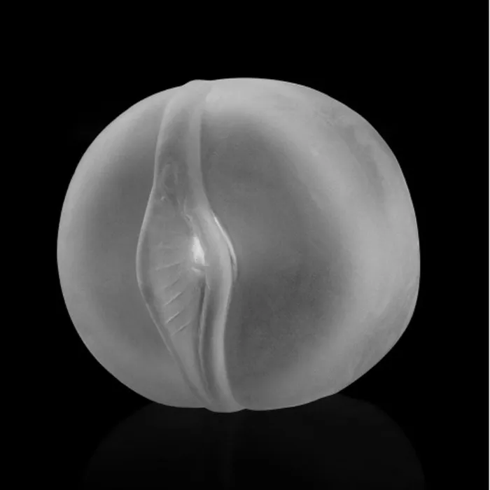 LOVETOY LOVETOY Maximizer Worx VX5 Rechargeable Pump Vagina Edition Male Sex Toys